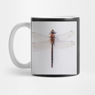 Dragonfly Mug